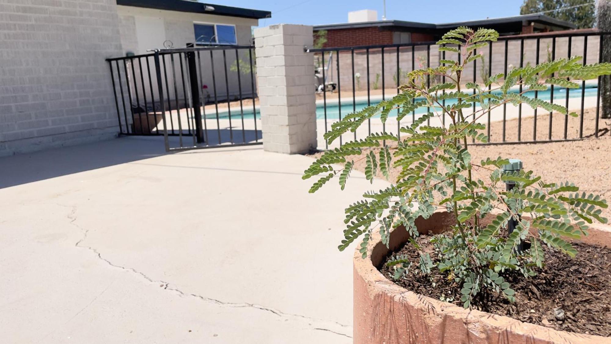 Private Home - Heated Pool, Billiards, Darts, Foosball, Fireplace, 5 Smart Tvs, Bbq, Cotton Bedding - The Saguaro Sanctuary, Pool Heat Optional Tucson Luaran gambar